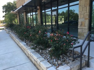 Build Strong Business